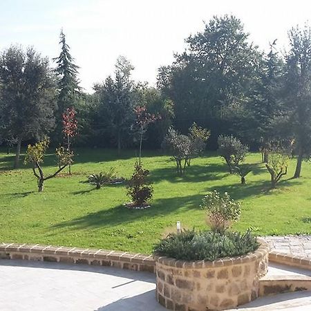 Вилла Tenuta Terra Tefra Conca della Campania Экстерьер фото