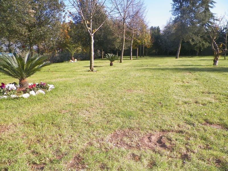 Вилла Tenuta Terra Tefra Conca della Campania Экстерьер фото